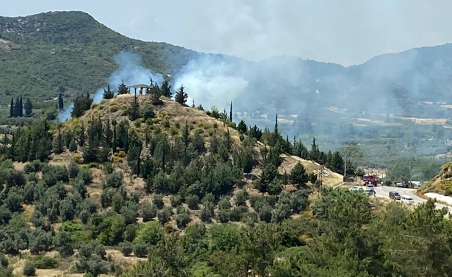 Antalya'da orman yangını!