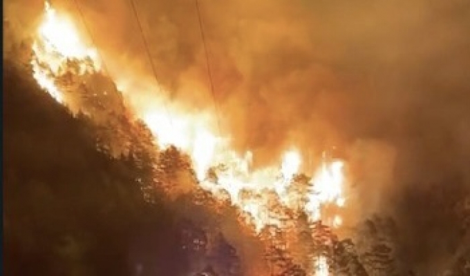 Alanya'da orman yangını