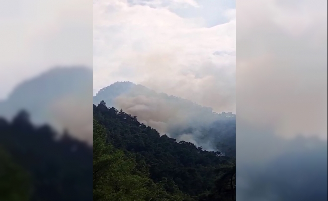 Kemer’de orman yangını