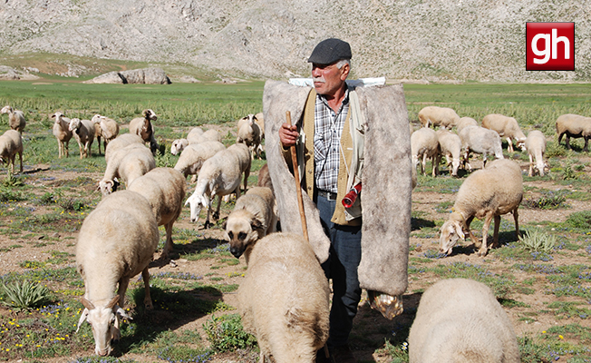  Antalya'da Yörüklerin yayla serüveni başladı