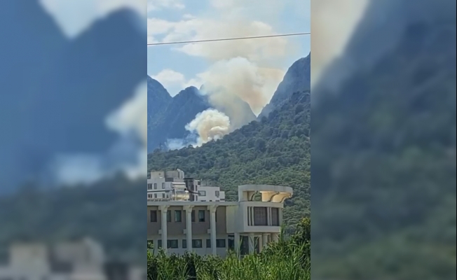 Antalya'da orman yangını