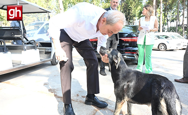 Başkan Kocagöz'den 'Köpek yakıldı' iddialarına cevap