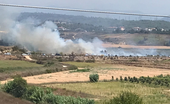 Sigara izmariti yangına neden oldu, dumanlar karayolunu kapladı