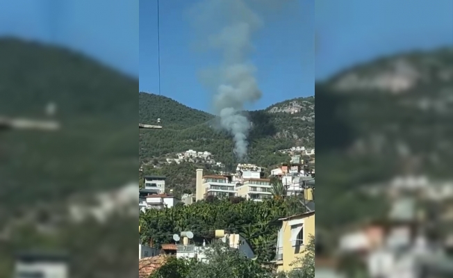 Alanya'da orman yangını