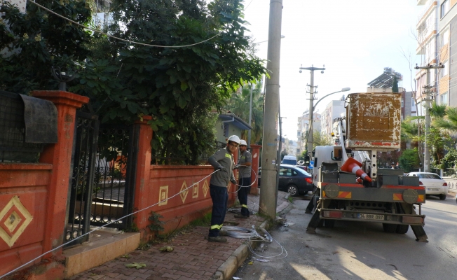 Ağaç budarken bütün mahallenin elektriğini kesti!