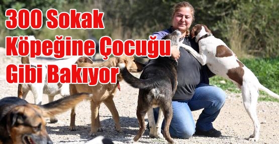 300 sokak köpeğine çocuğu gibi bakıyor