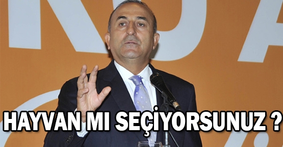 Çavuşoğlu’ndan mülteci tepkisi