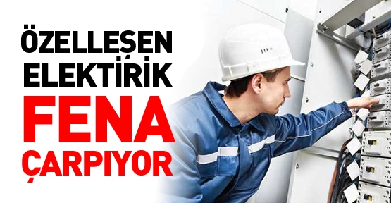 Özelleşen elektirik fena çarpıyor