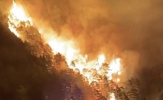 Alanya'da orman yangını