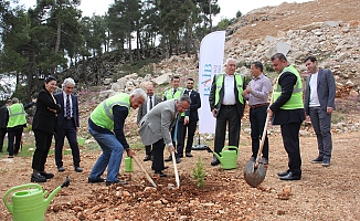 Terk edilmiş mermer ocağı rehabilite edilerek ağaçlandırıldı