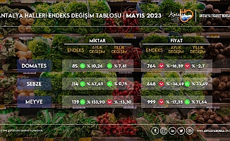  Antalya'da sebze fiyatlarında yüzde 36,69 düşüş