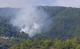 Alanya'da orman yangını