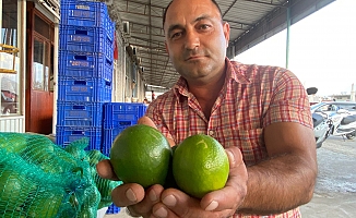 Antalya’da halde limon 3 TL’ye kadar düştü