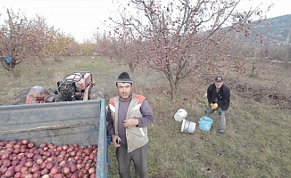 Tarlada çalışan babaya 'dron' şakası gülme krizine soktu