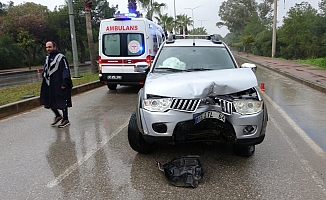 Yolda kayan kamyonet refüjdeki palmiyeye çarptı!