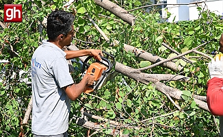Antalya'da fırtına sonrası gece boyunca 'devrilen ağaç' mesaisi
