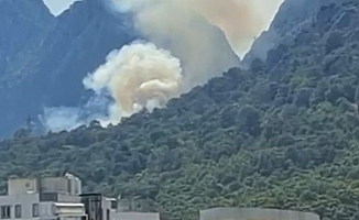 Antalya'da orman yangını