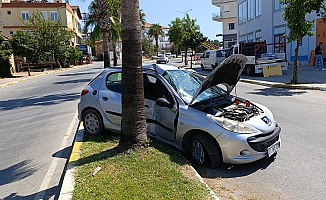 Otomobil refüjdeki palmiyeye çarptı, araçtaki yaralıların ilk yardımına vatandaşlar koştu