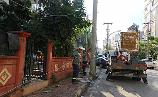 Ağaç budarken bütün mahallenin elektriğini kesti!