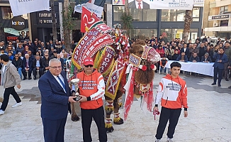 İşte Antalya'nın en süslü devesi!