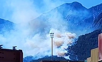 Antalya'da orman yangını