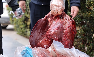 Çuval içerisinde şehirlerarası otobüsle gönderildi!